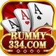 334 Rummy icon