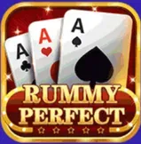 rummy perfect icon
