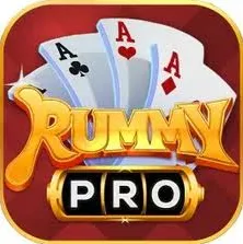 rummy pro icon