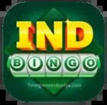 Ind Bingo icon
