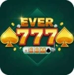 Ever 777 icon