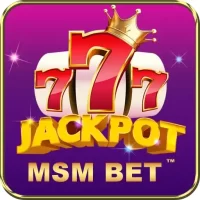 Msm Bet icon