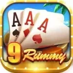 rummy 9 icon