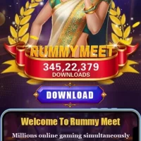 rummy meet icon
